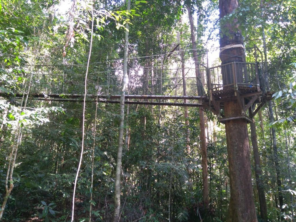 taman negara